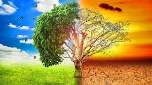 Gençlerden Hükümetlere Sert Tepki: Yeni İklim Davası Açıldı