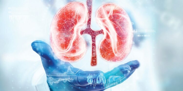 Bakan Memişoğlu’nun Kararı Sonrası Organ Bağışında Toplumsal Kabul Artıyor