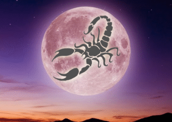 Burçlara Yeni Ay Etkisi: Akrep Enerjisi Hangi Burçları Sarsacak?