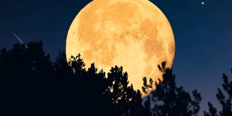 Soğuk Ay’ın Kökeni ve Anlamı: Geleneksel Yerli Kabilelerin Takvim Hikayesi