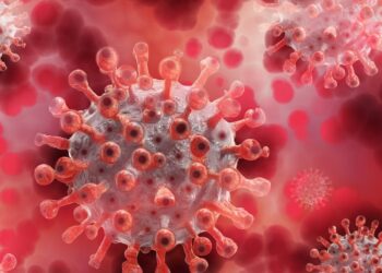 İngiltere’de yeni Maymun çiçeği varyantı: Belirtiler ve Bulaşma