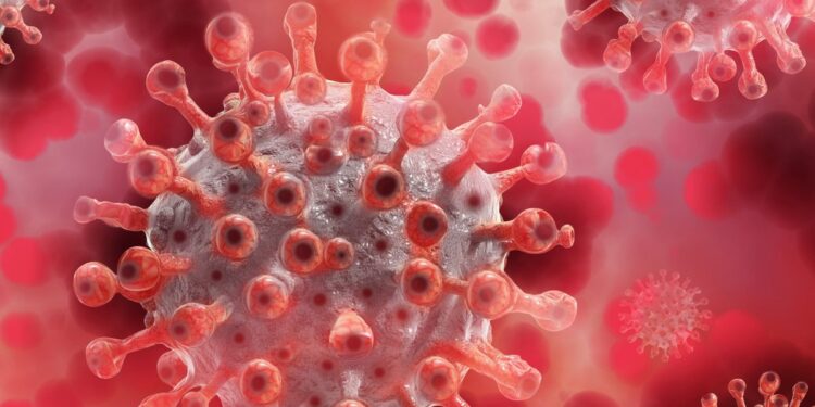 İngiltere’de yeni Maymun çiçeği varyantı: Belirtiler ve Bulaşma