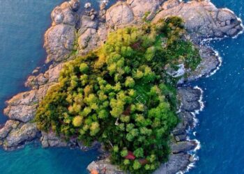 Giresun Adası Turizme Açılıyor: Doğu Karadeniz İçin Yeni Proje