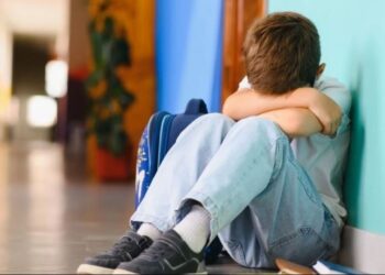 KADES Modelinde Akran Zorbalığı Uygulaması Geliyor