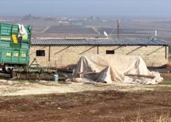 Şanlıurfa’da Kaçak Elektrikle Kripto Para Madenciliği Yapan Dev Tesis