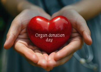 İki elin arasında tutulan üzerinde organ donation yazan kırmızı kalp.